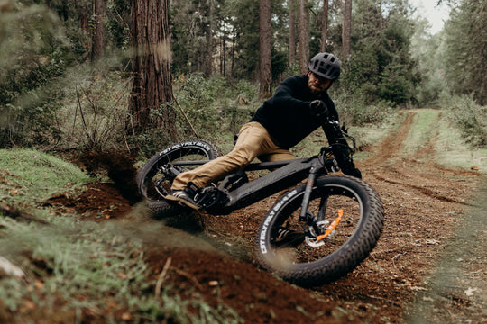 VTT électrique pour hommes