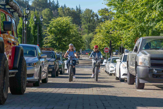 Auf dem Weg in eine nachhaltige Zukunft: Die Umweltvorteile von Himiway E-Bikes