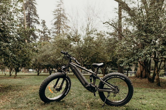 Ce qu'il faut savoir pour la prochaine saison de vélos électriques en Allemagne